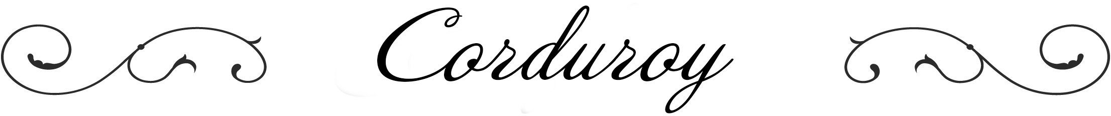 コーデュロイシリーズ 新作ジョリージョリ